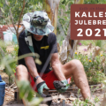 Kalles Julebrev 2021