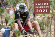 Kalles Julebrev 2021